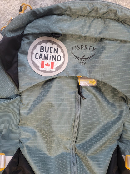 Buen Camino patch